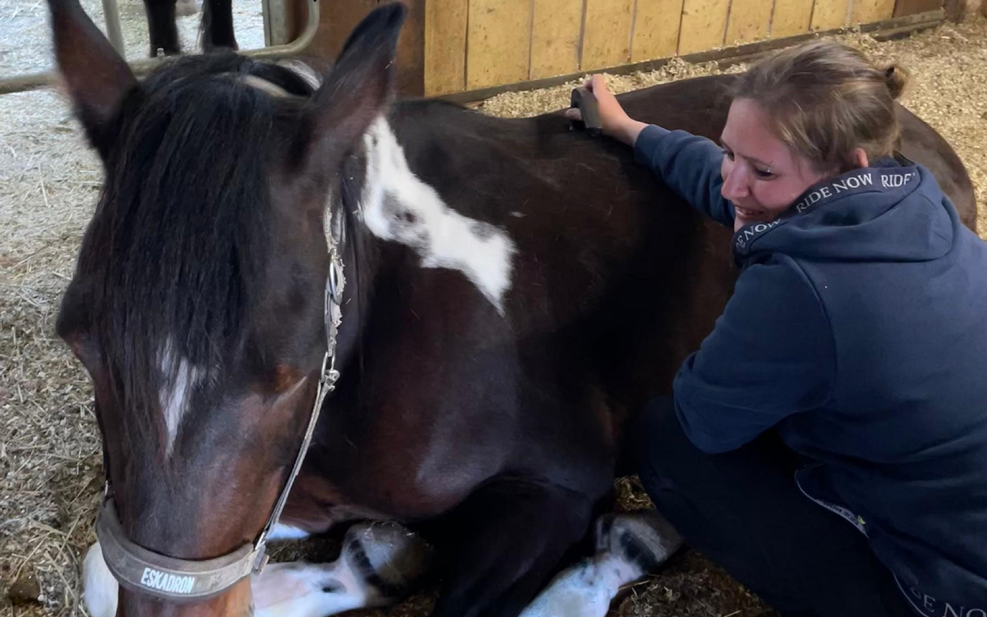 Langfristige Begleitung